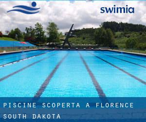 Piscine Scoperta a Florence (South Dakota)