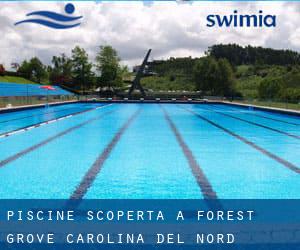 Piscine Scoperta a Forest Grove (Carolina del Nord)