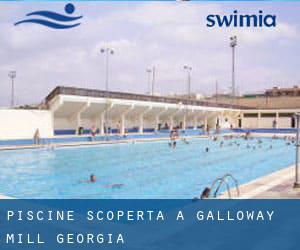 Piscine Scoperta a Galloway Mill (Georgia)