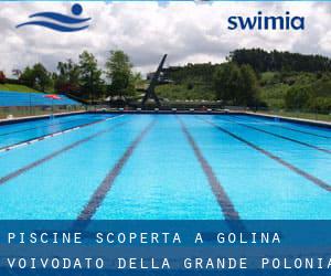 Piscine Scoperta a Golina (Voivodato della Grande Polonia)