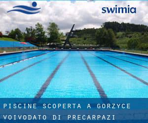 Piscine Scoperta a Gorzyce (Voivodato di Precarpazi)