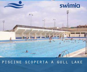 Piscine Scoperta a Gull Lake