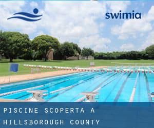 Piscine Scoperta a Hillsborough County