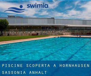 Piscine Scoperta a Hornhausen (Sassonia-Anhalt)