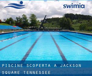 Piscine Scoperta a Jackson Square (Tennessee)