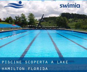 Piscine Scoperta a Lake Hamilton (Florida)