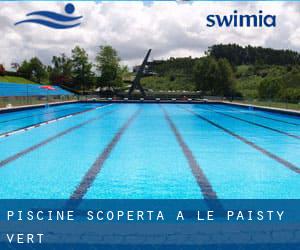 Piscine Scoperta a Le Paisty-Vert