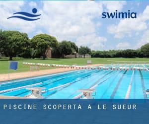 Piscine Scoperta a Le Sueur