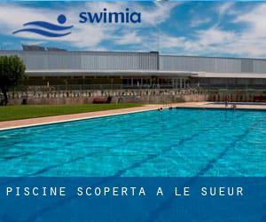 Piscine Scoperta a Le Sueur