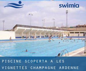 Piscine Scoperta a Les Vignettes (Champagne-Ardenne)