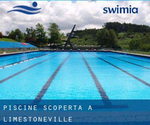 Piscine Scoperta a Limestoneville