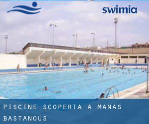 Piscine Scoperta a Manas-Bastanous