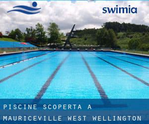 Piscine Scoperta a Mauriceville West (Wellington)