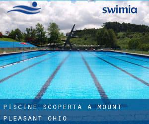 Piscine Scoperta a Mount Pleasant (Ohio)