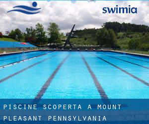 Piscine Scoperta a Mount Pleasant (Pennsylvania)