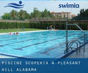 Piscine Scoperta a Pleasant Hill (Alabama)