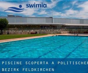 Piscine Scoperta a Politischer Bezirk Feldkirchen