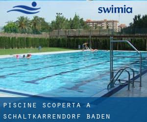 Piscine Scoperta a Schaltkarrendorf (Baden-Württemberg)