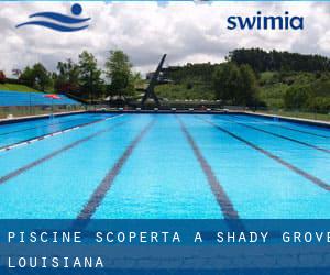 Piscine Scoperta a Shady Grove (Louisiana)