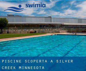 Piscine Scoperta a Silver Creek (Minnesota)