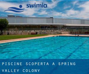 Piscine Scoperta a Spring Valley Colony