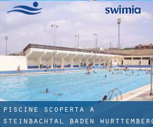 Piscine Scoperta a Steinbachtal (Baden-Württemberg)