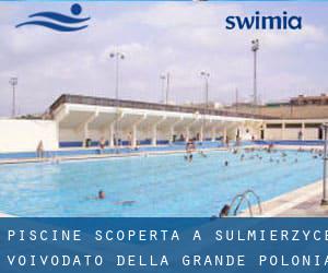 Piscine Scoperta a Sulmierzyce (Voivodato della Grande Polonia)