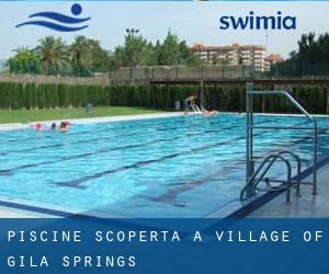 Piscine Scoperta a Village of Gila Springs