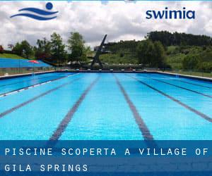 Piscine Scoperta a Village of Gila Springs