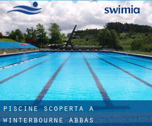 Piscine Scoperta a Winterbourne Abbas