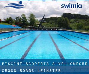 Piscine Scoperta a Yellowford Cross Roads (Leinster)