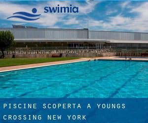 Piscine Scoperta a Youngs Crossing (New York)