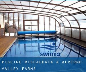 Piscine Riscaldata a Alverno Valley Farms