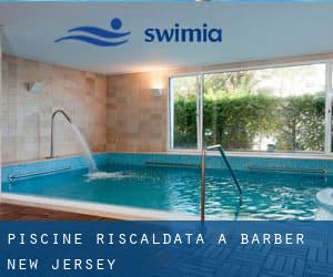 Piscine Riscaldata a Barber (New Jersey)