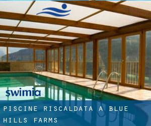 Piscine Riscaldata a Blue Hills Farms