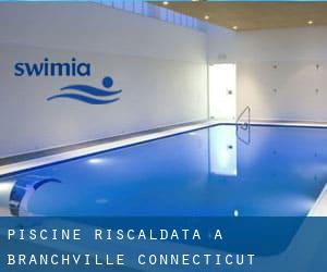 Piscine Riscaldata a Branchville (Connecticut)