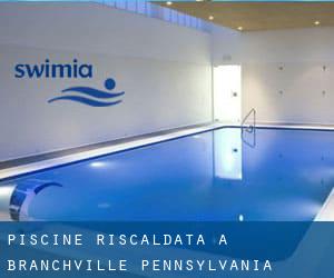 Piscine Riscaldata a Branchville (Pennsylvania)