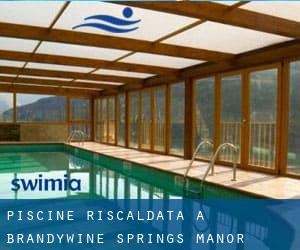 Piscine Riscaldata a Brandywine Springs Manor