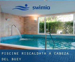 Piscine Riscaldata a Cabeza del Buey