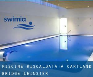 Piscine Riscaldata a Cartland Bridge (Leinster)