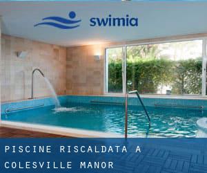 Piscine Riscaldata a Colesville Manor