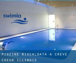 Piscine Riscaldata a Creve Coeur (Illinois)