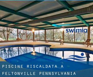 Piscine Riscaldata a Feltonville (Pennsylvania)