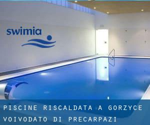 Piscine Riscaldata a Gorzyce (Voivodato di Precarpazi)