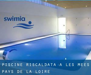 Piscine Riscaldata a Les Mées (Pays de la Loire)