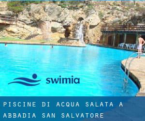 Piscine Di Acqua salata a Abbadia San Salvatore