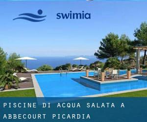 Piscine Di Acqua salata a Abbecourt (Picardia)