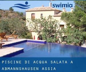 Piscine Di Acqua salata a Aßmannshausen (Assia)