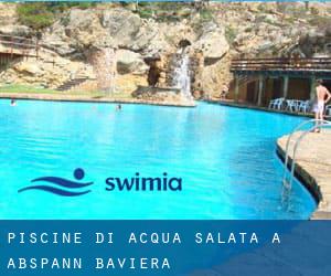 Piscine Di Acqua salata a Abspann (Baviera)