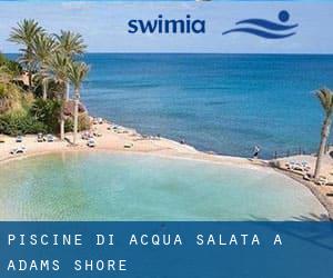 Piscine Di Acqua salata a Adams Shore